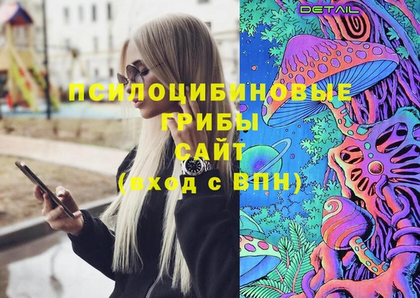 не бодяженный Ельня