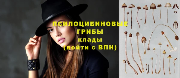 эйфоретик Чита