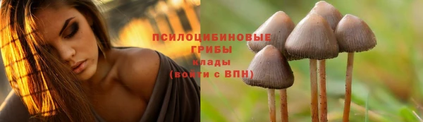 не бодяженный Ельня