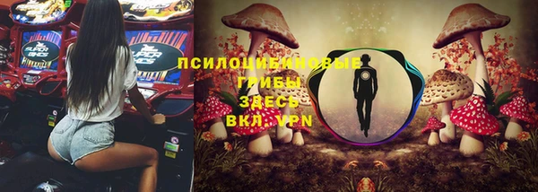 не бодяженный Ельня
