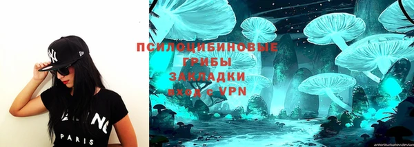 шишки Нефтекумск